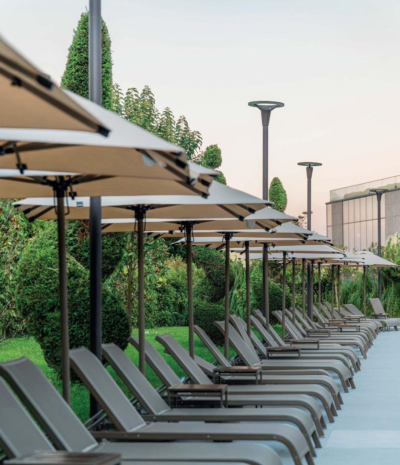 A long row of square parasols over sun loungers along a hotel poolside, with trees behind